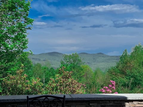 Swiss Alps Chalet in Jackson | Mountain Views + AC