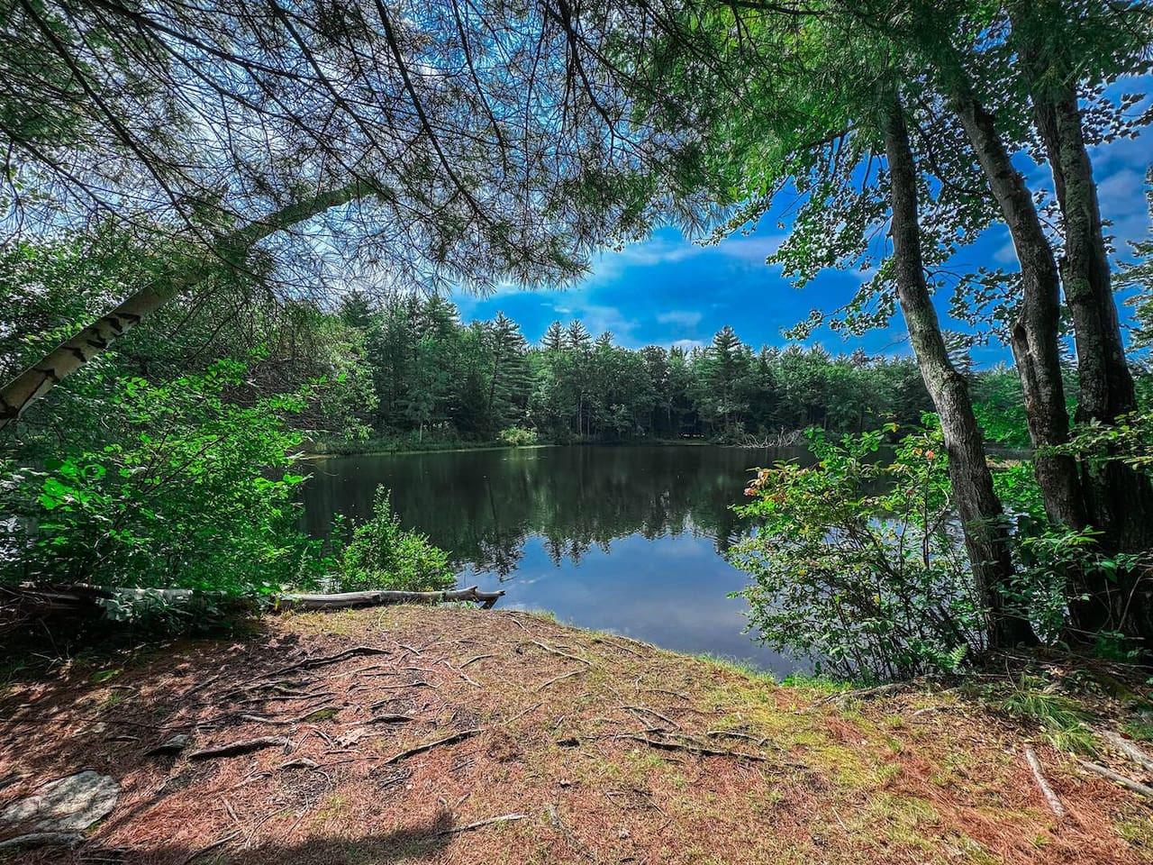 The Manor on Main | Hot Tub, Pond Access, 5 Bedrms