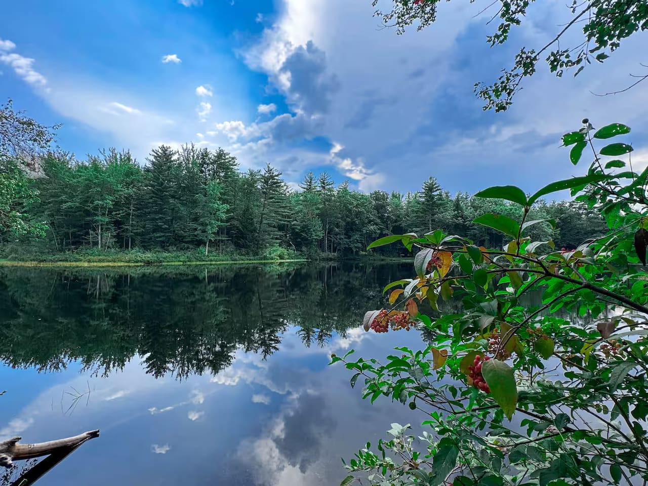 The Manor on Main | Hot Tub, Pond Access, 5 Bedrms