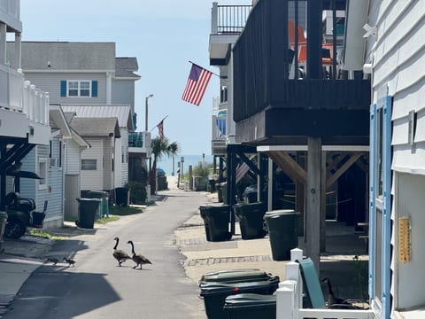 ⭐ Bright & Spacious Beach Cottage | Steps to the Beach | Golf Cart Included | Ocean Lakes