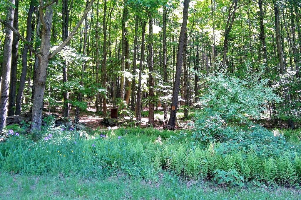 fall-catskills-retreat-with-fire-place-+-views/