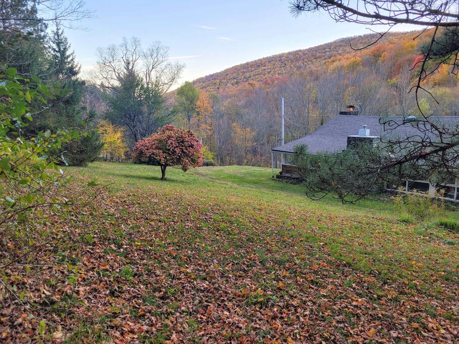 fall-catskills-retreat-with-fire-place-+-views/
