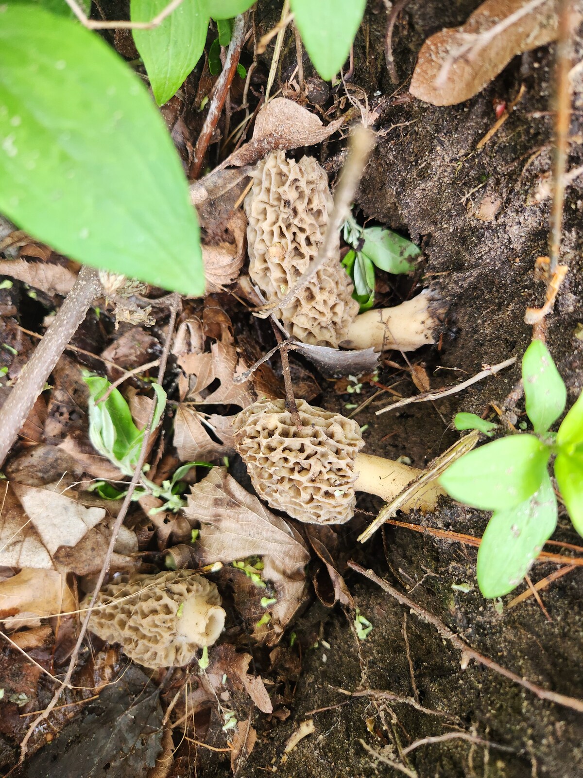 cozy-off-grid-getaway/