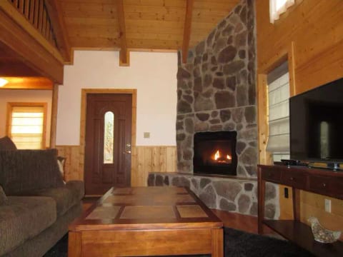 Gas fireplace and 50" LED TV and "smart" dvd player.