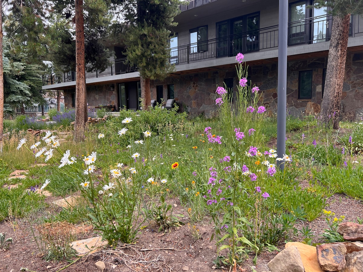 2255 Wildcat Trail - Crested Butte