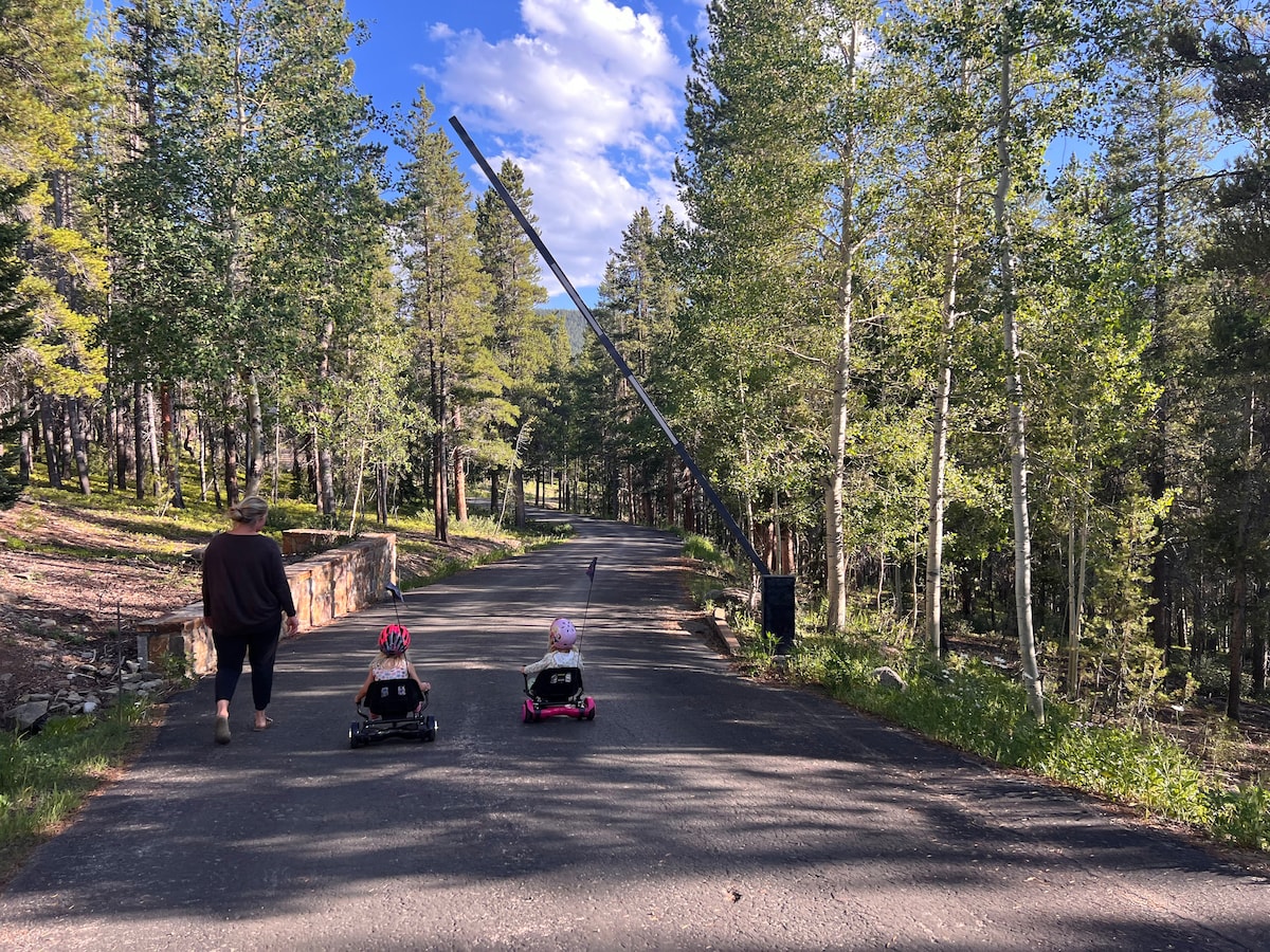 2255 Wildcat Trail - Crested Butte