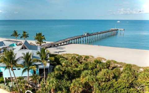 From sunset cocktails to seaside dinners — try Chart House, Dry Dock, Tripletail, Marina Jack, Shore, or Ophelia’s.
