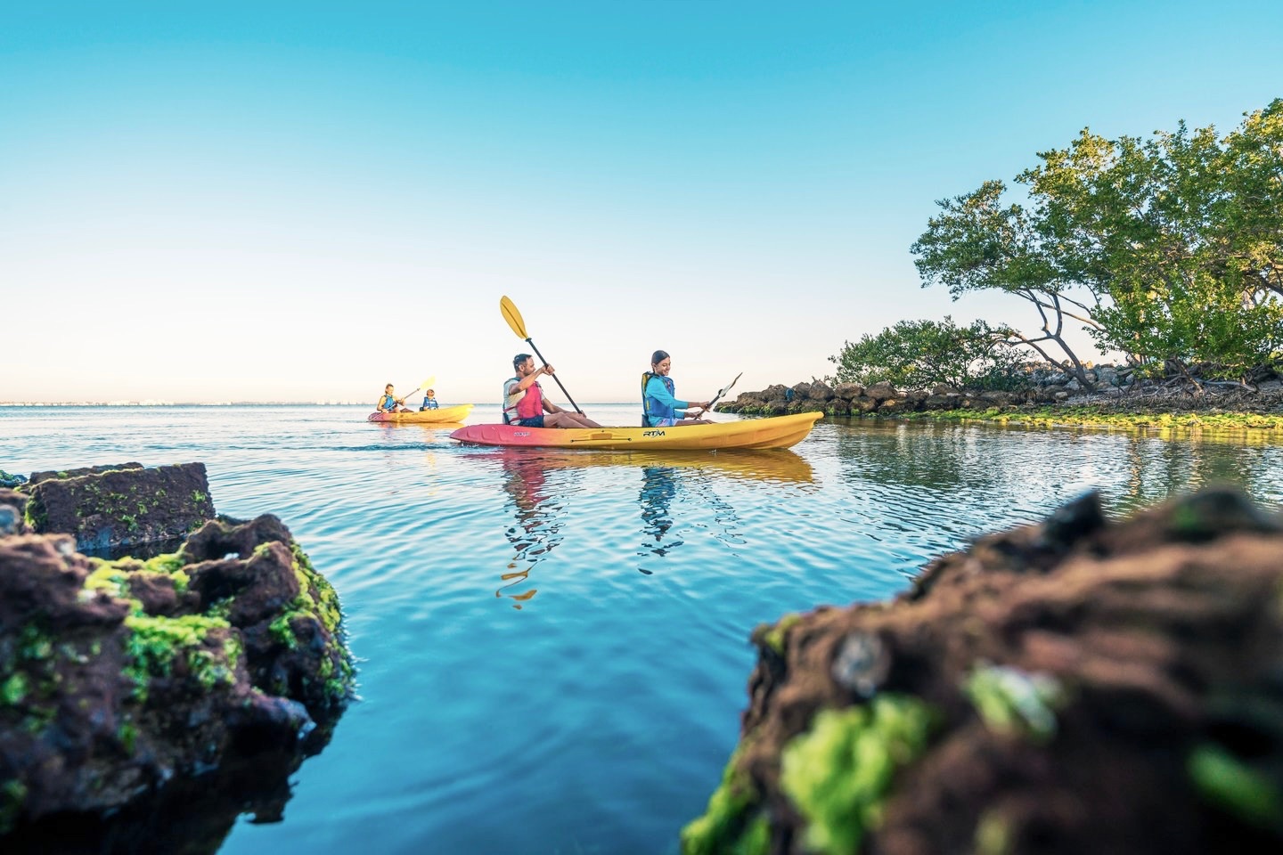 Morning coffee, then a paddle — explore Sarasota’s mangroves and calm bays, just a few minutes from your doorstep.