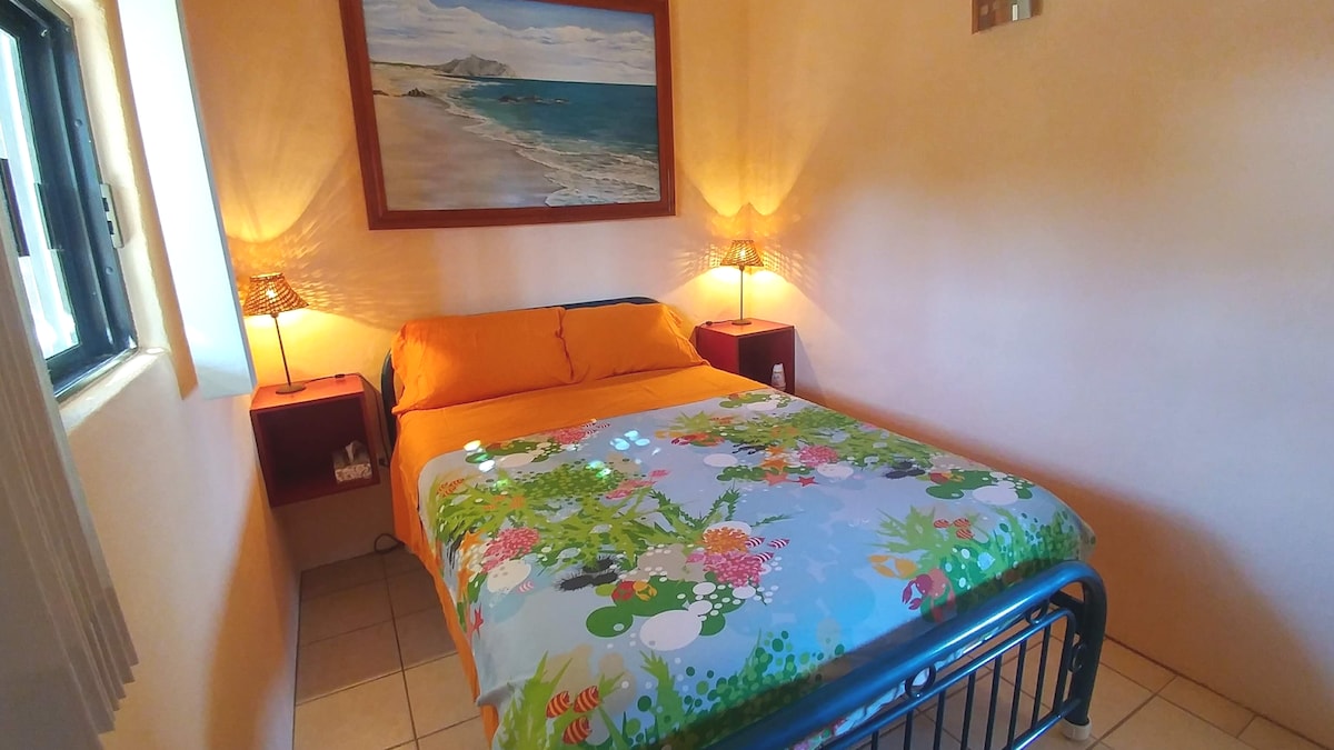 casa-el-coyote-3br-house-with-pool-near-cabo-pulmo/