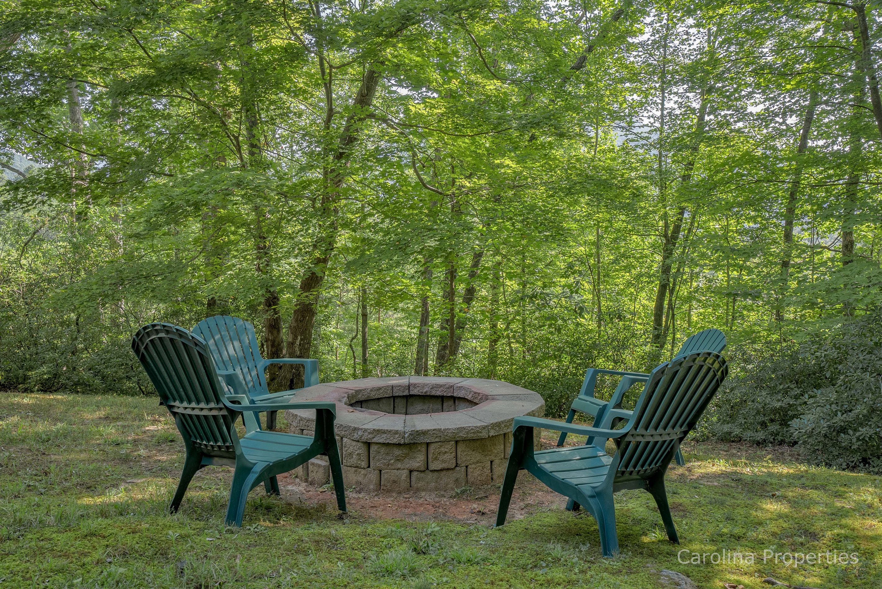 Wood burning Fire Pit