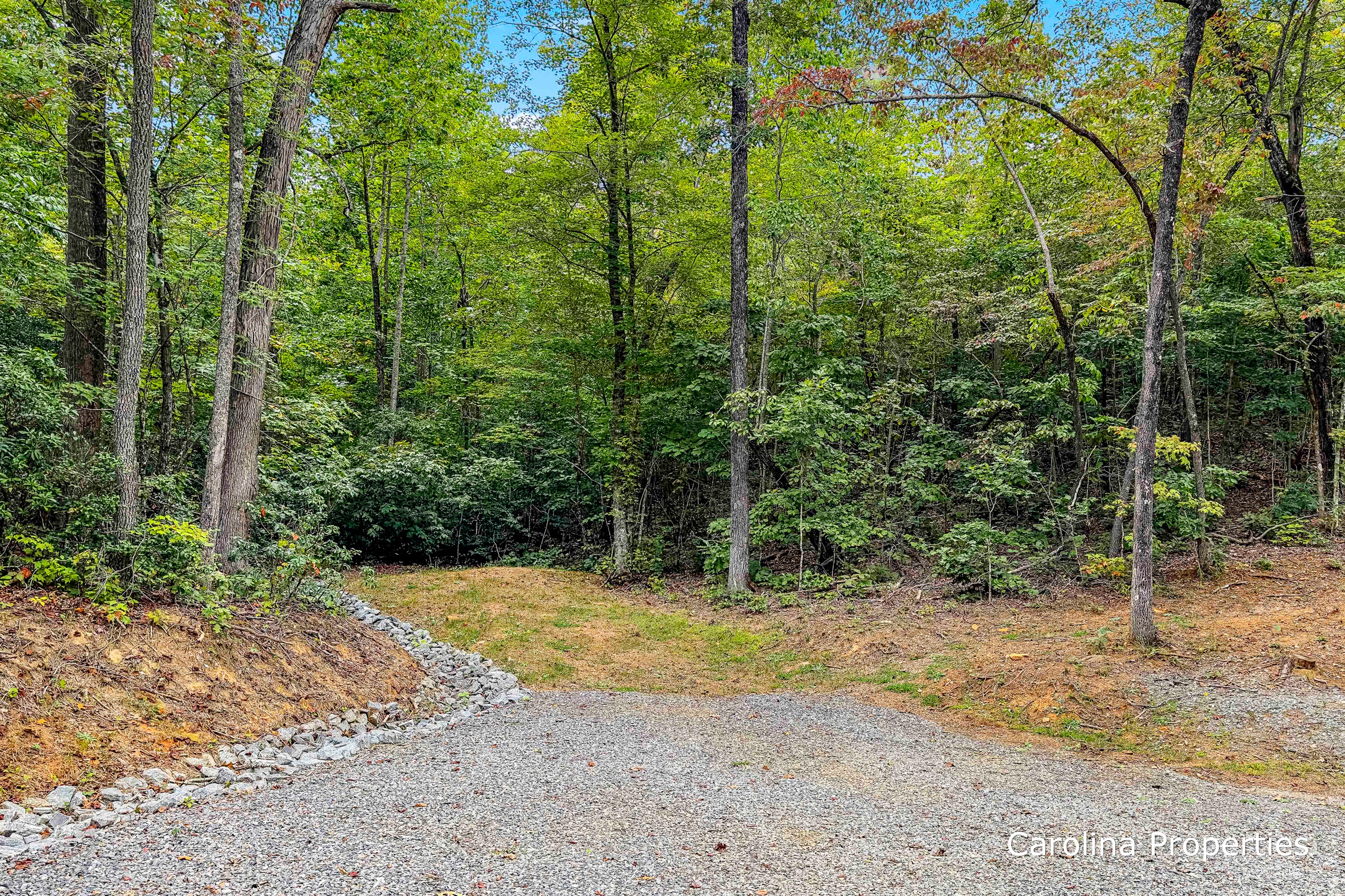 Nestled in the trees