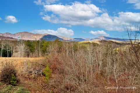 Beautiful Mountain Views Year Round!