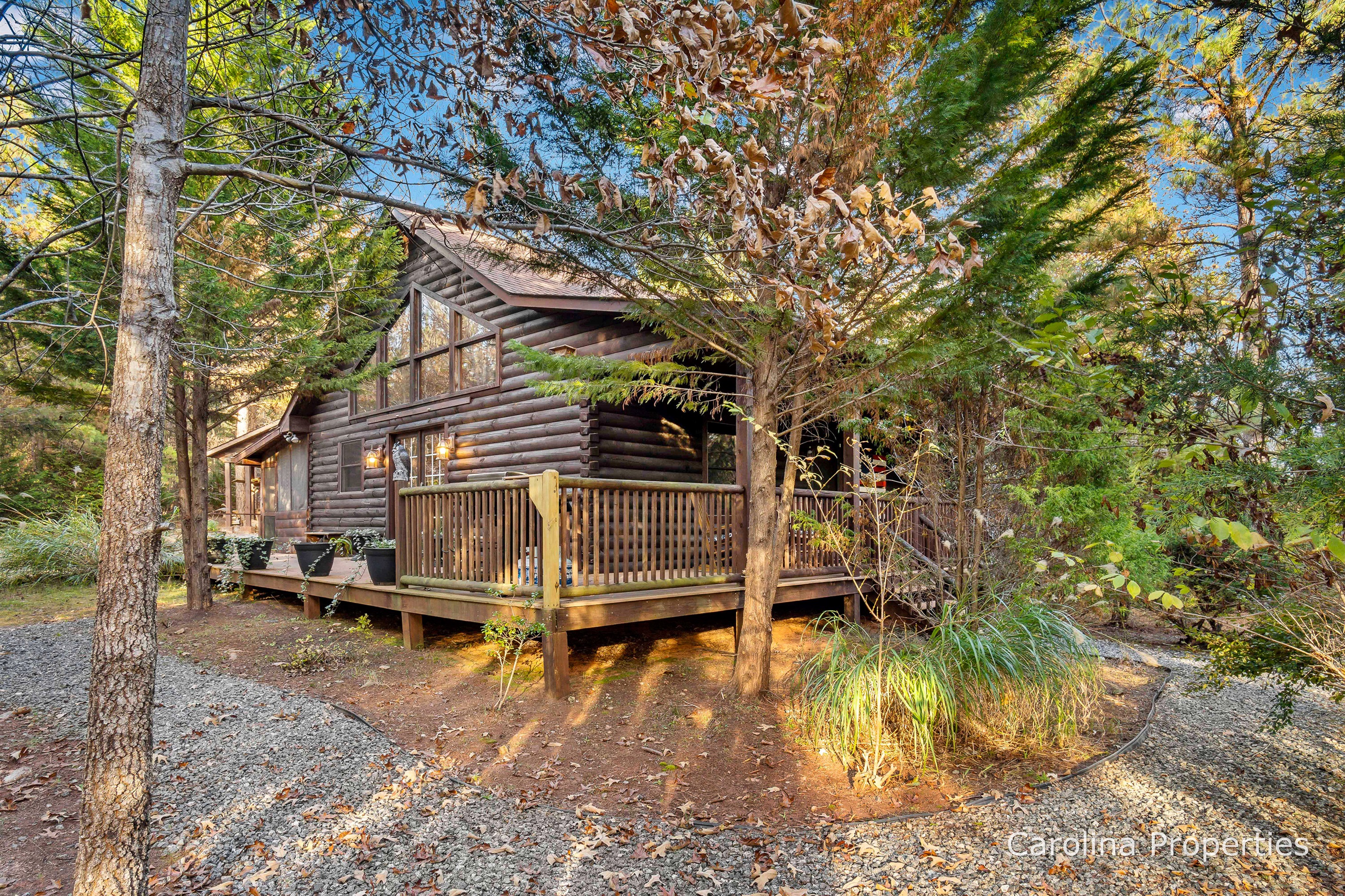Fiona's Forest Haven