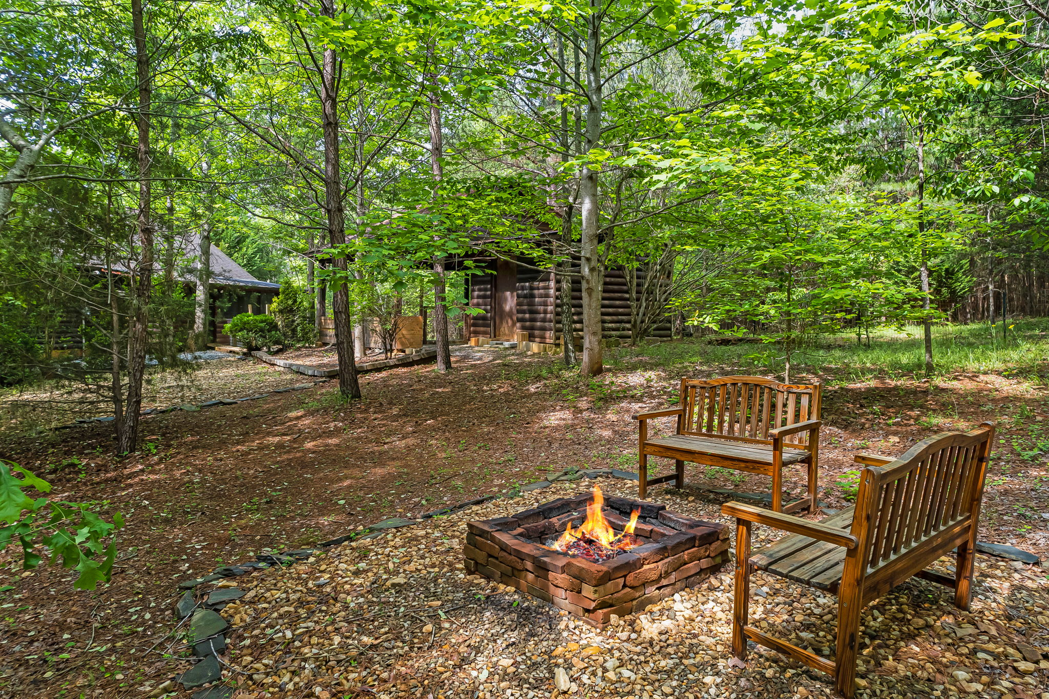 Fiona's Forest Haven