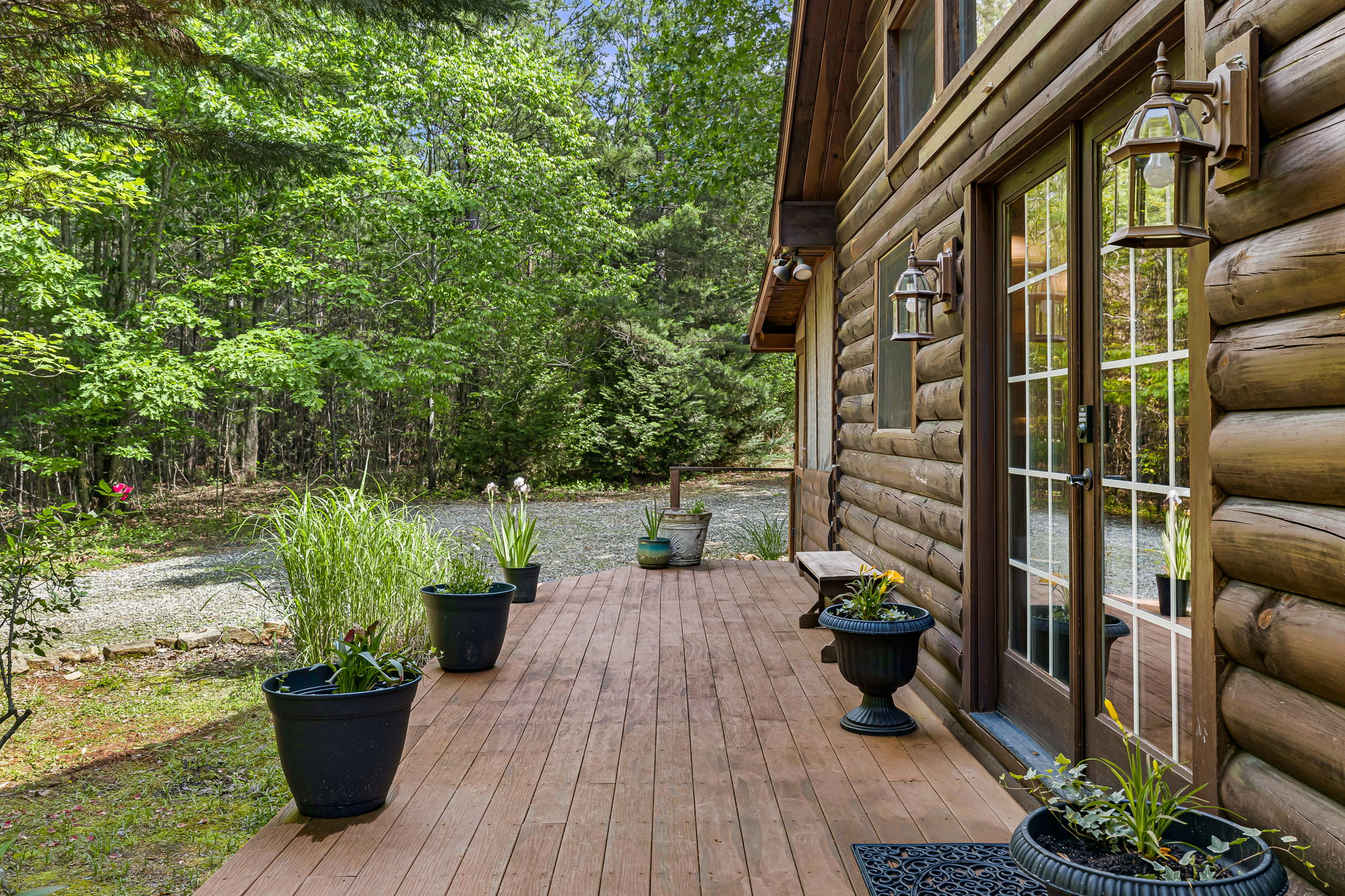 Fiona's Forest Haven