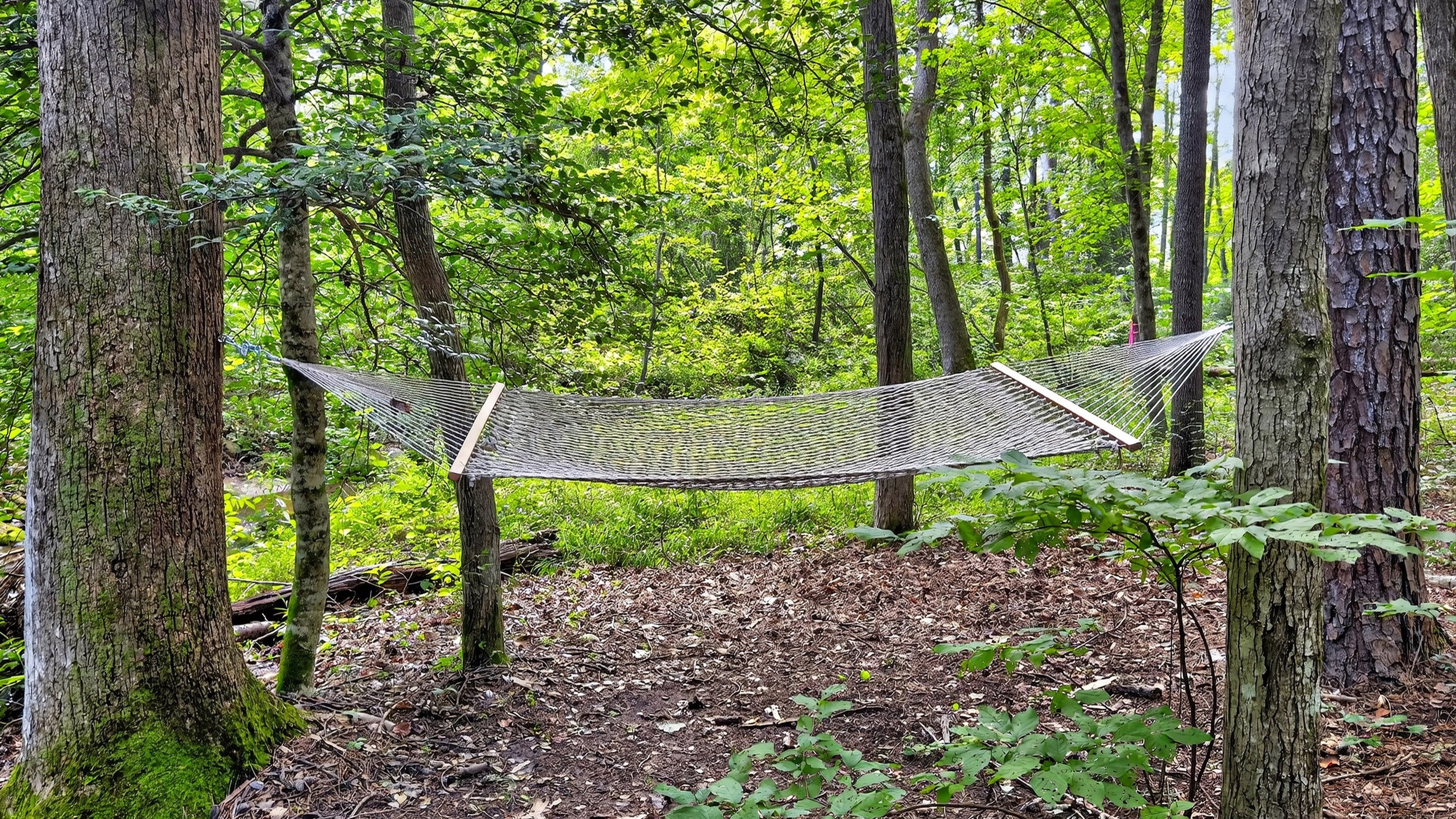Relax in the hammock.