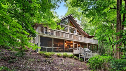Additional view of the cabin from the back yard.