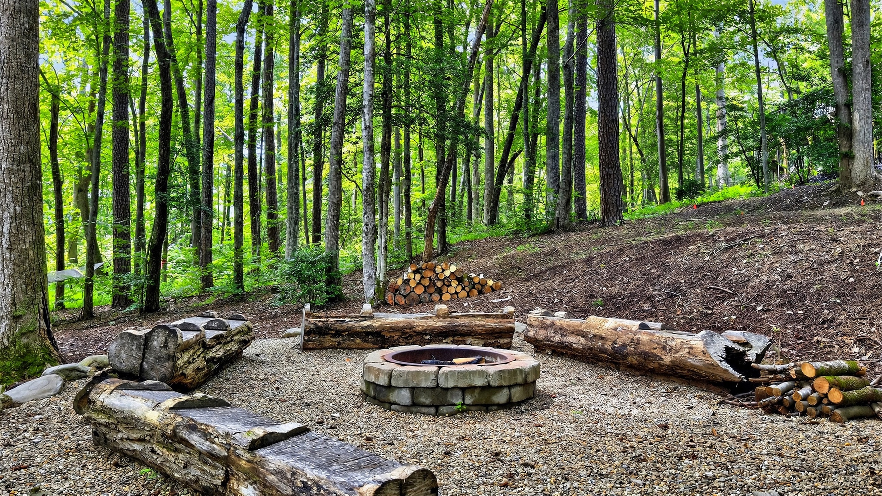 Additional view of firepit.