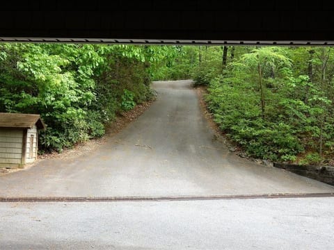 A long, paved drive leads to the home that is nestled among the trees.