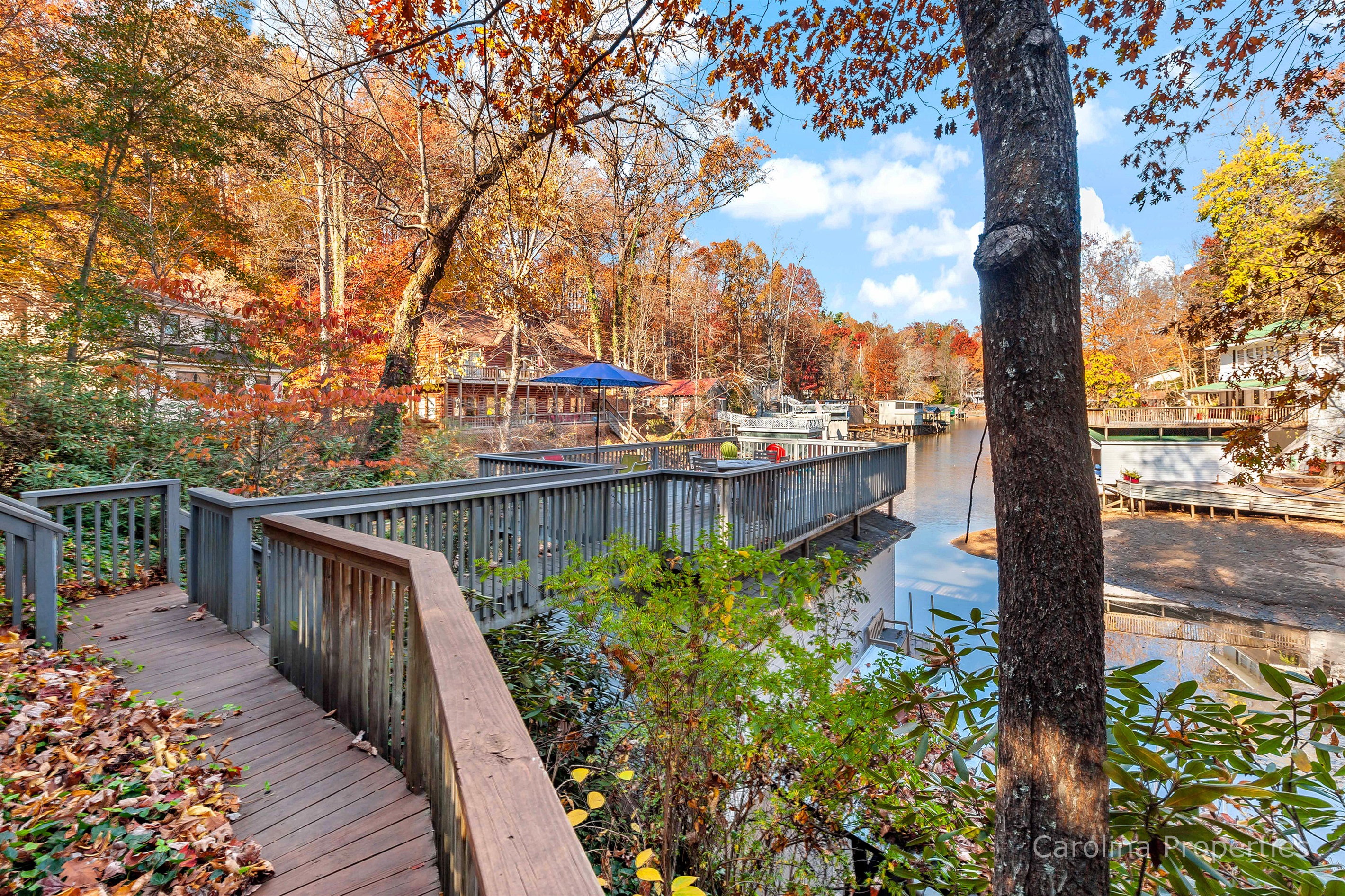 the-cottage-at-grey-logs-cove/