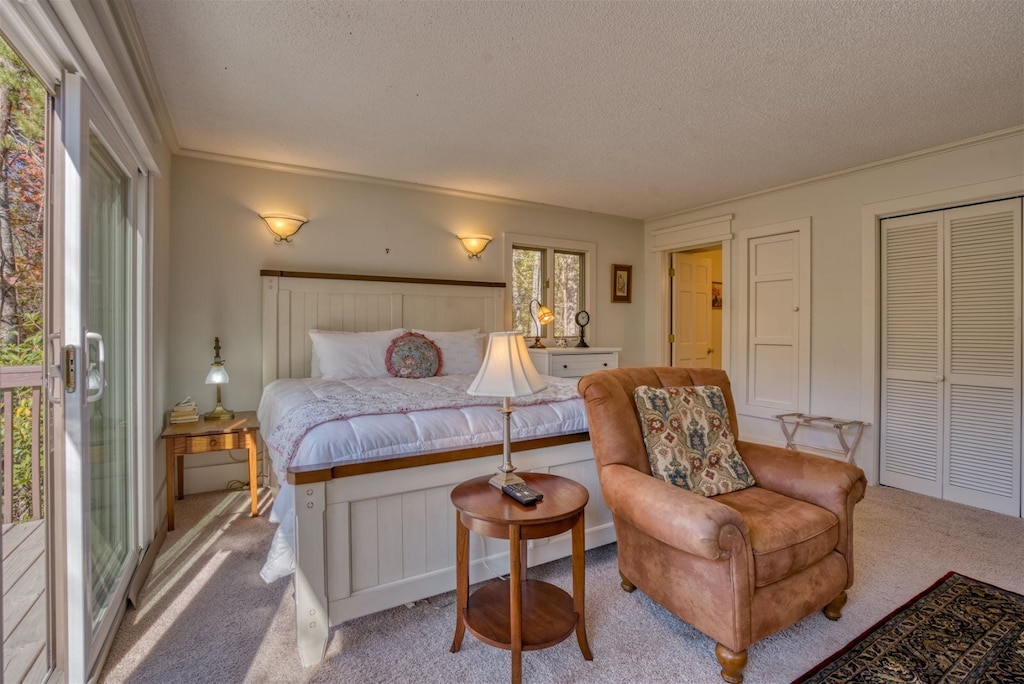 Cozy king size bed with the perfect views of the outdoors