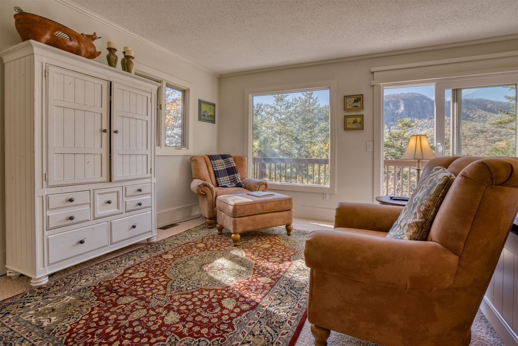 Master bedroom with plenty of sitting room to relax and read a book