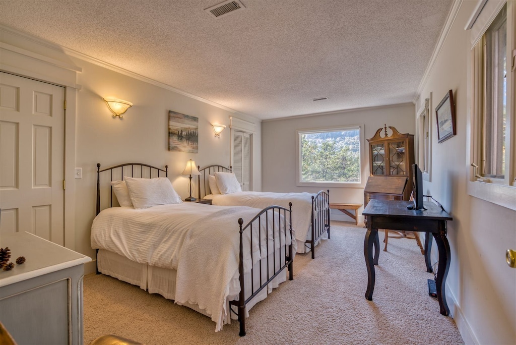 Twin bed Guest bedroom with views 