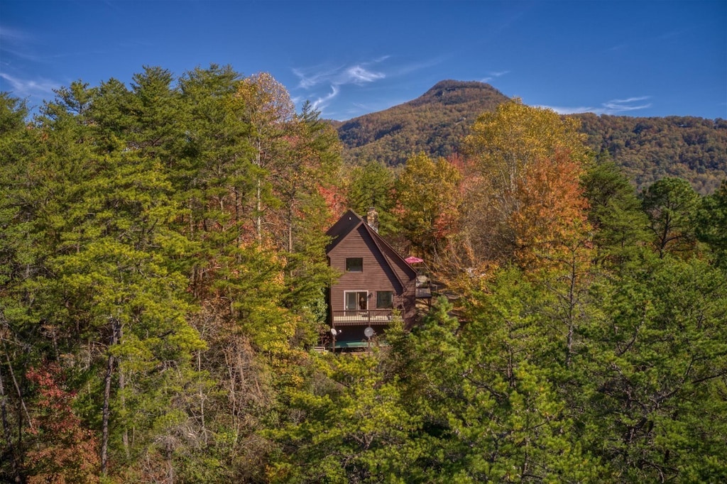 Perfectly nestled amongst the trees