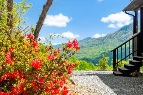 Gorgeous views from the moment you arrive
