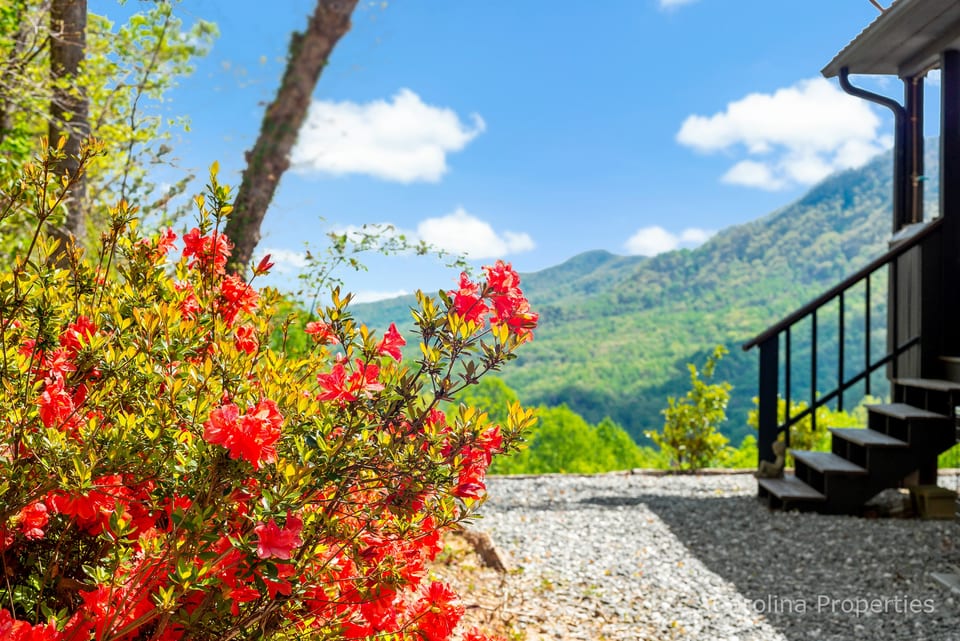 Gorgeous views from the moment you arrive