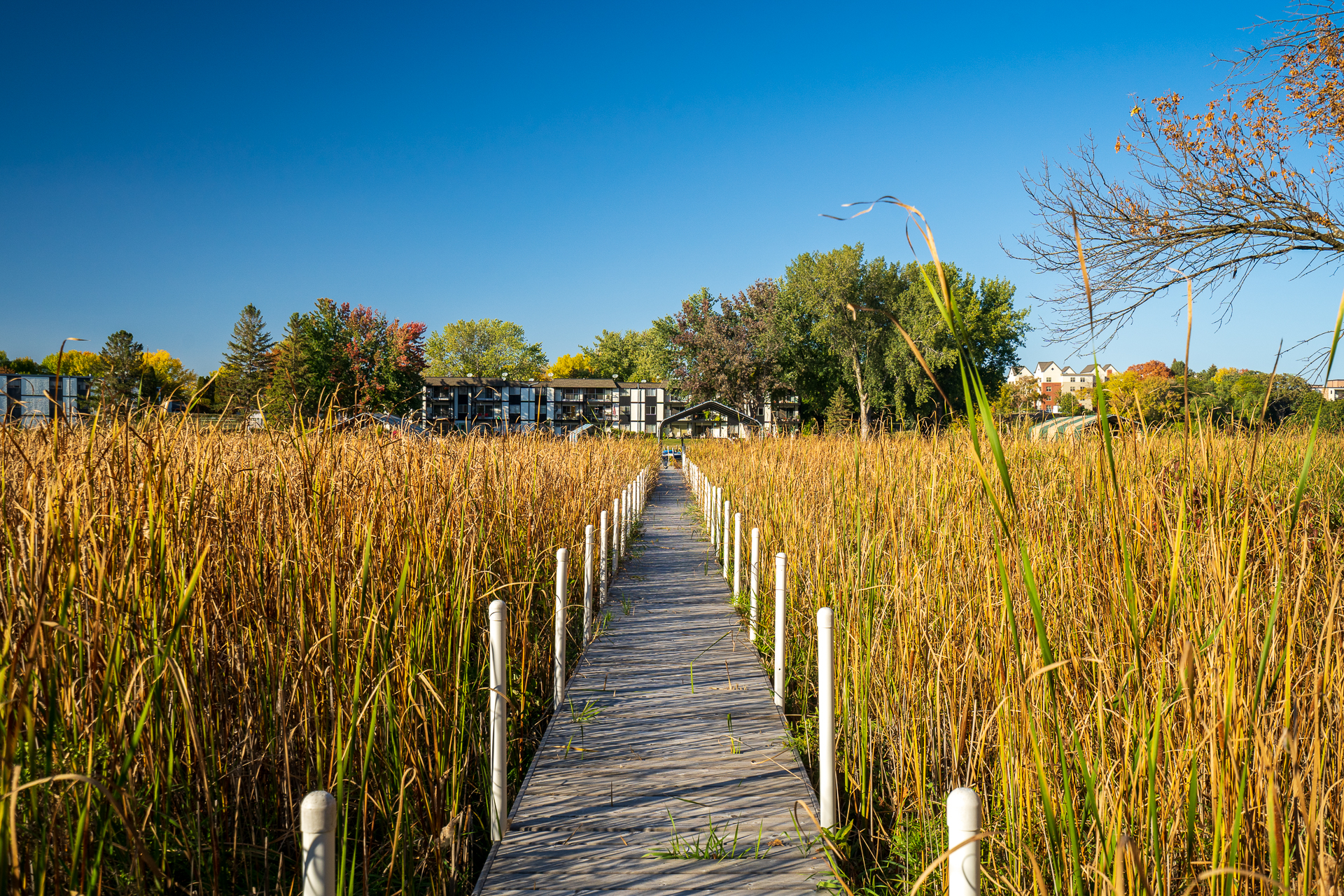 carlow-manor-on-lake-minnetonka/