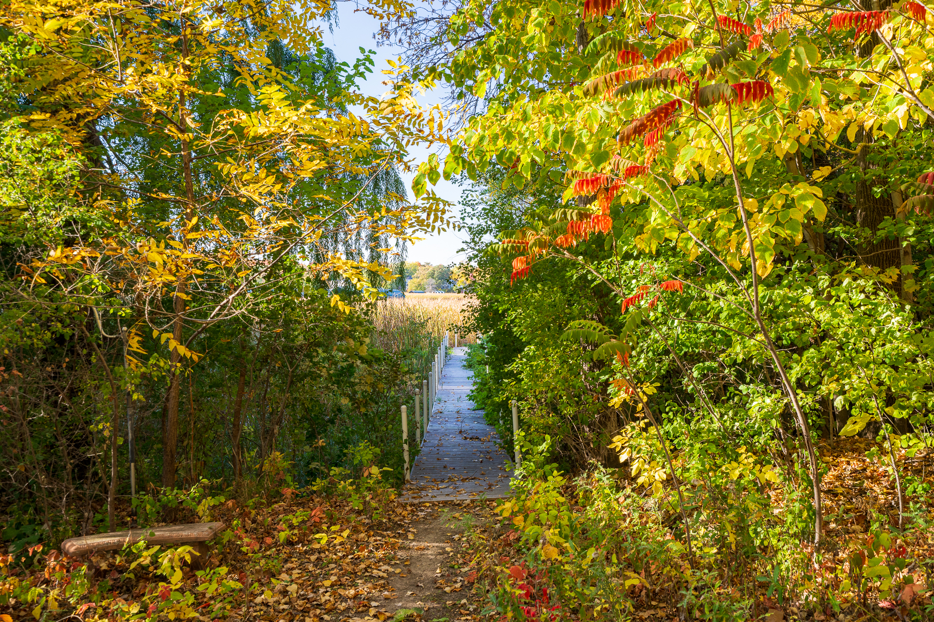 carlow-manor-on-lake-minnetonka/
