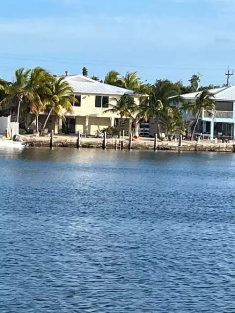 Home from the Water (Yellow)