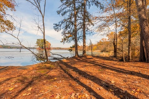 Cushy Lake Frame