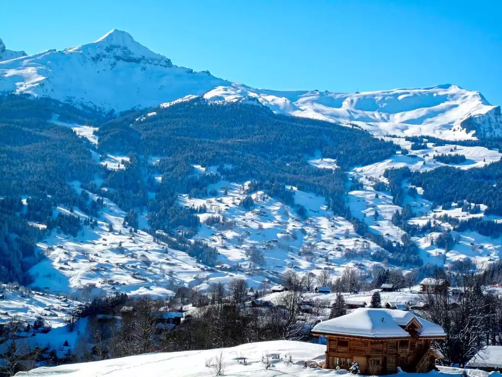 Chalet Almisräba - Grindelwald