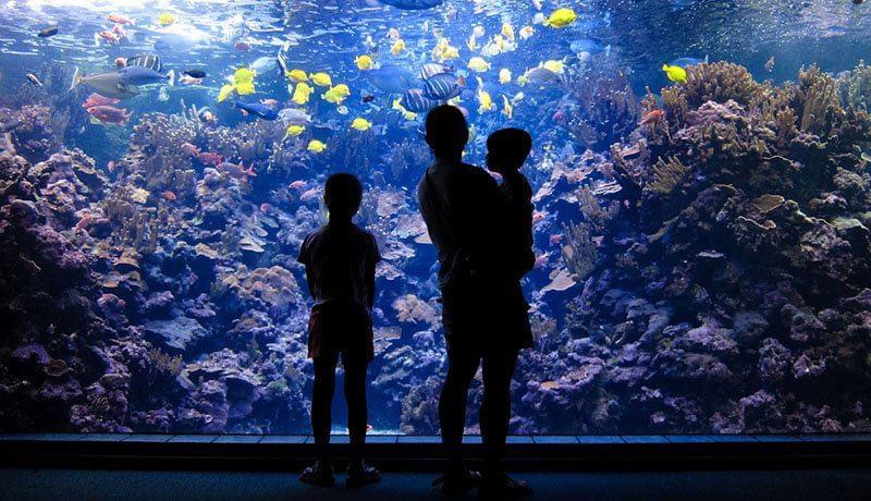 Come and Enjoy Maui!