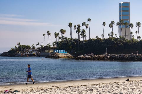 Beachfront Escape: Steps from the ocean, enjoy palm-lined views and vibrant seaside vibes!