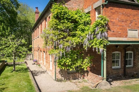 Outside with wisteria in full bloom
