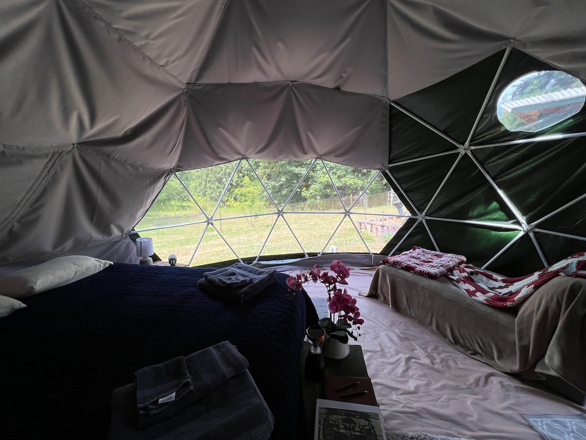 Eco-Friendly and Comfortable Dome In The Hills