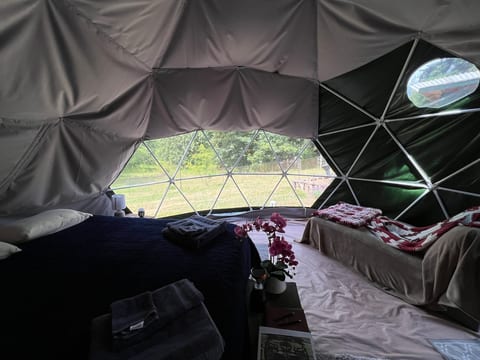 Eco-Friendly and Comfortable Dome In The Hills