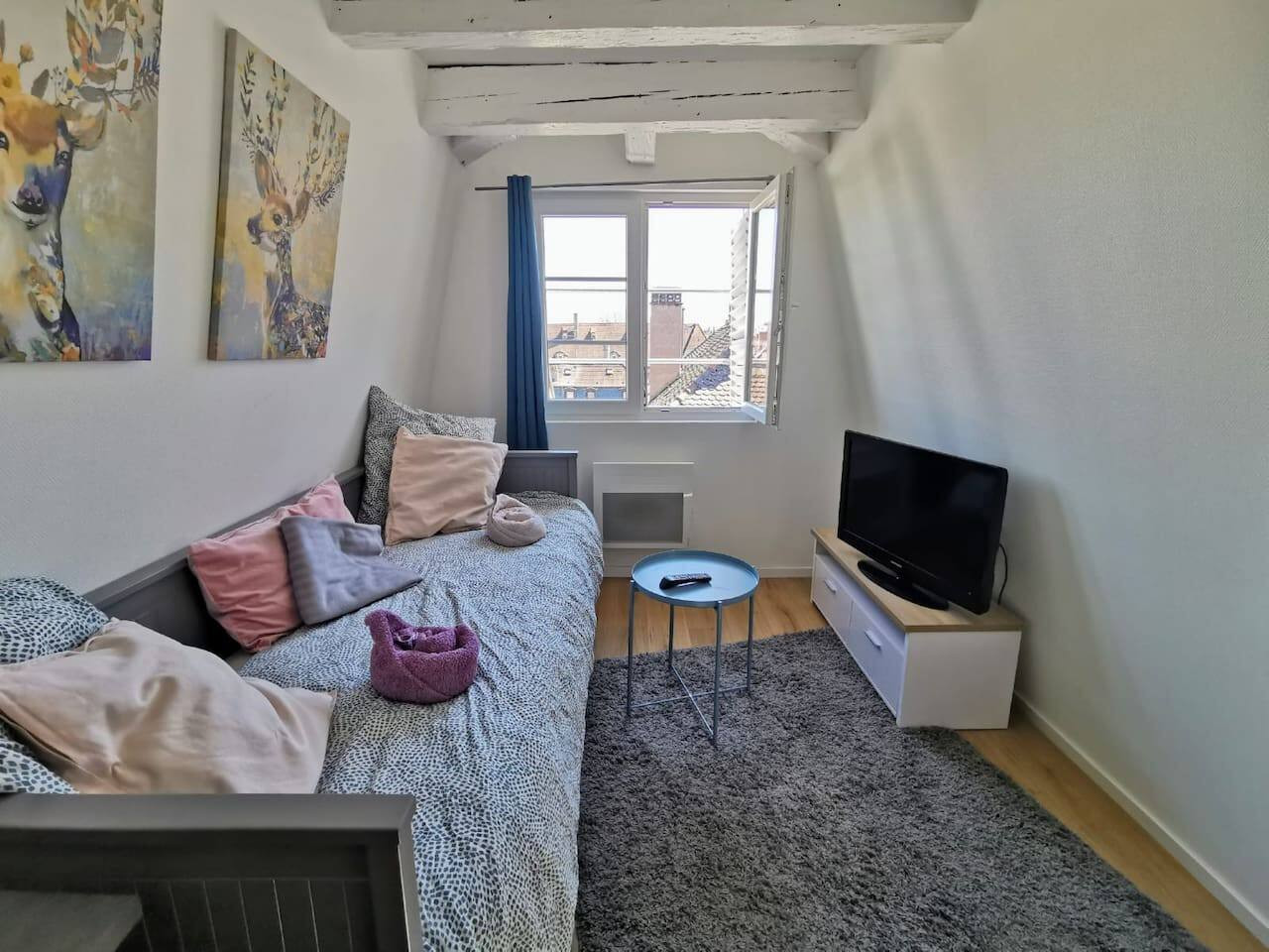 cosy-strasbourg-studio-near-cathedral/