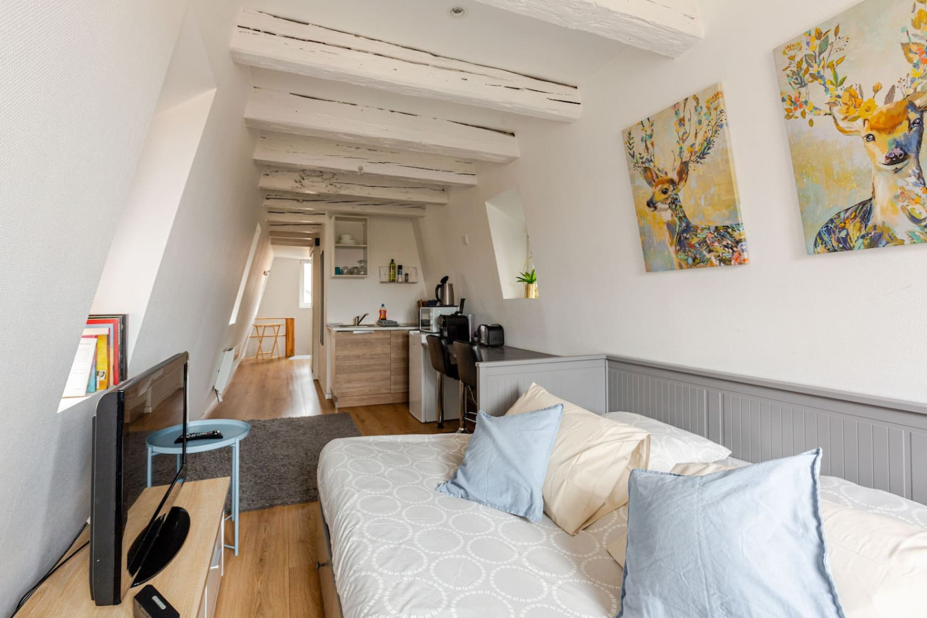 cosy-strasbourg-studio-near-cathedral/