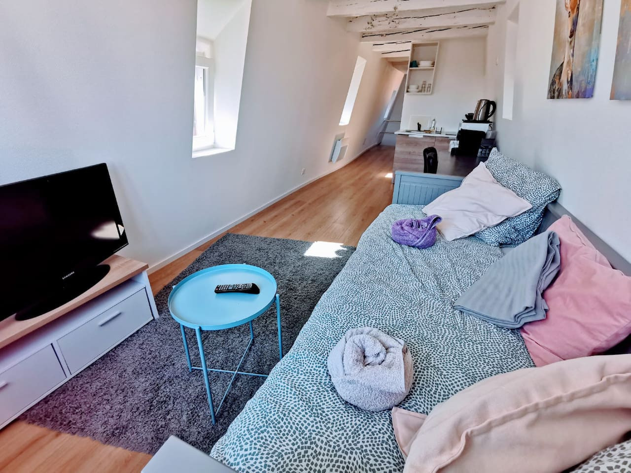 cosy-strasbourg-studio-near-cathedral/