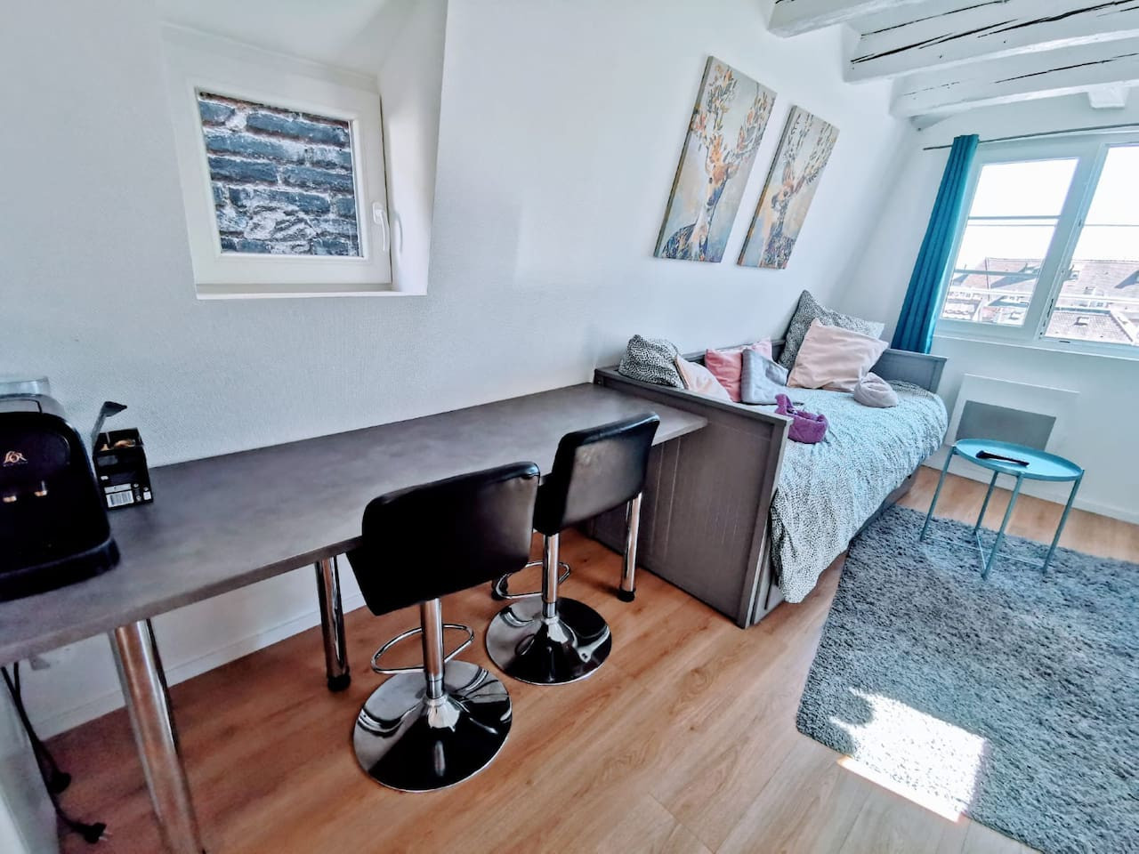 cosy-strasbourg-studio-near-cathedral/