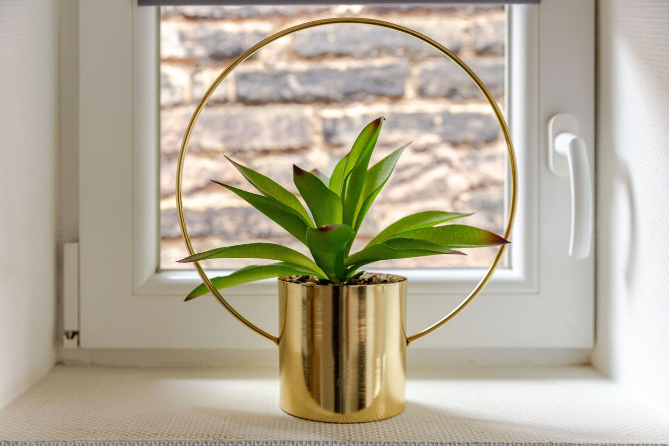 cosy-strasbourg-studio-near-cathedral/