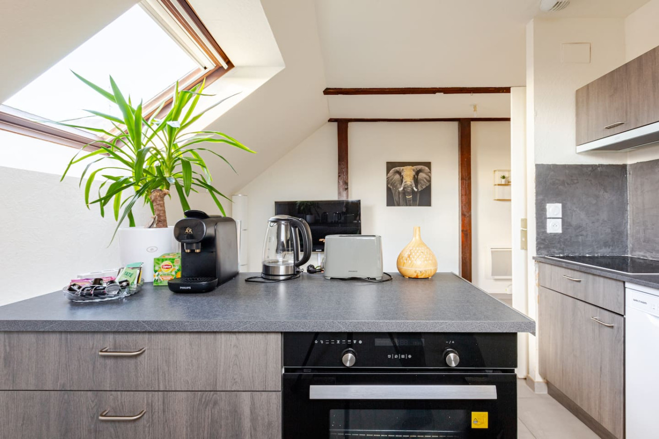 Modern F2 Apartment in Erstein - Erstein