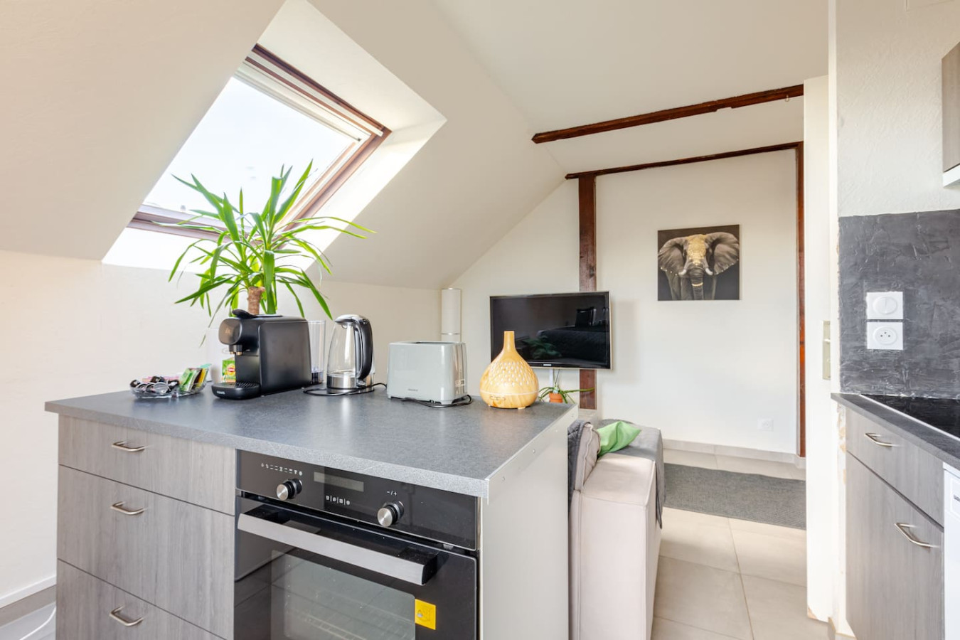 Modern F2 Apartment in Erstein - Erstein