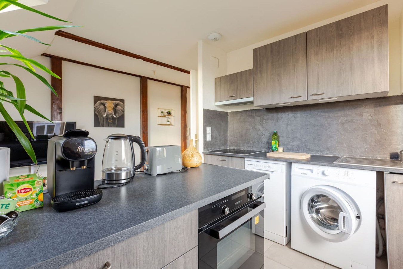 Modern F2 Apartment in Erstein - Erstein