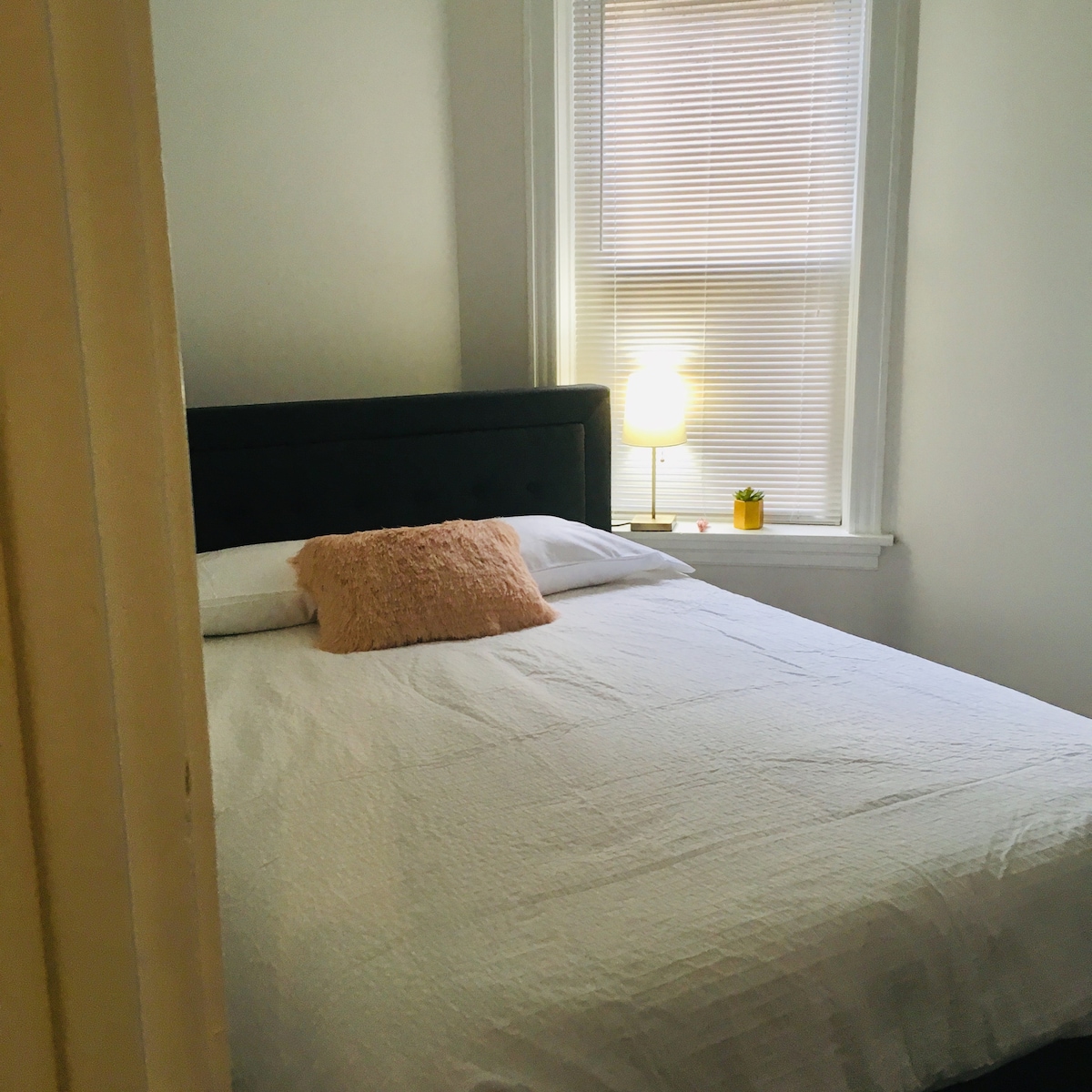Modern Western Logan Square Flat