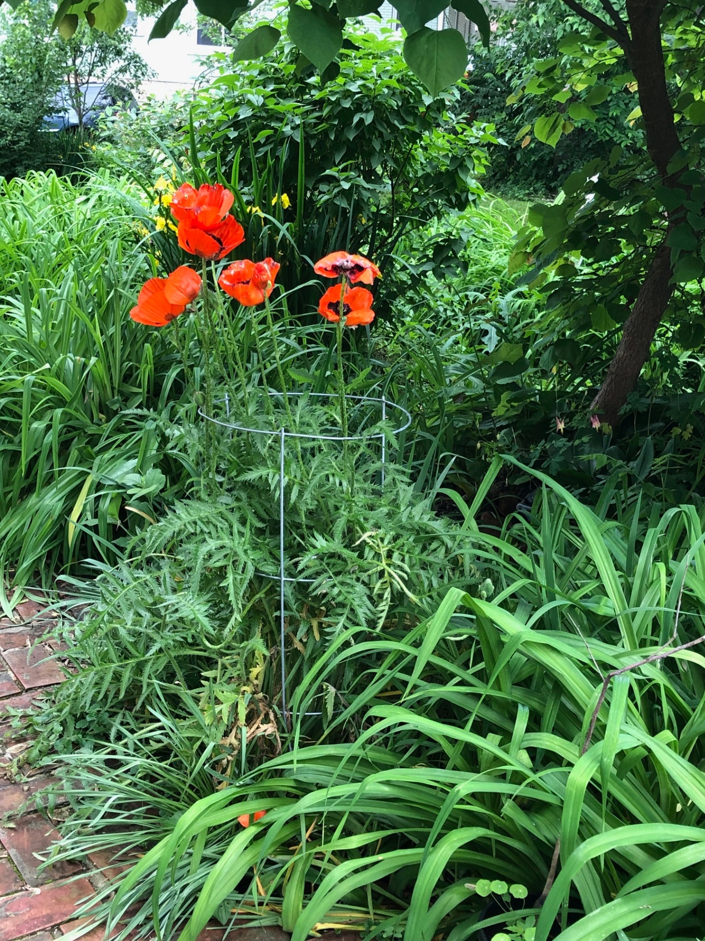 Vintage Airstream - Glamping with Style! - Kansas City